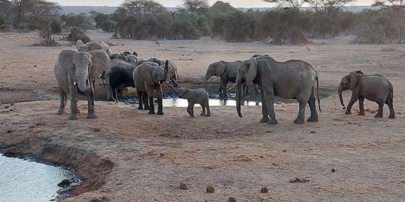 Voyage au Kenya de Sybill L.