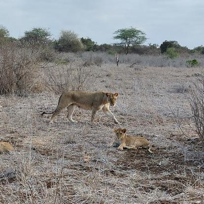 Voyage au Kenya de Sybill L.