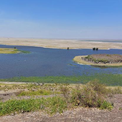 Voyage au Kenya de Sybill L.