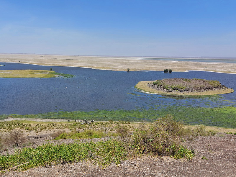 Voyage au Kenya de Sybill L.