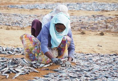 Voyage au Sri Lanka d'Eric K.
