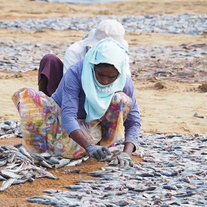 Voyage au Sri Lanka d'Eric K.