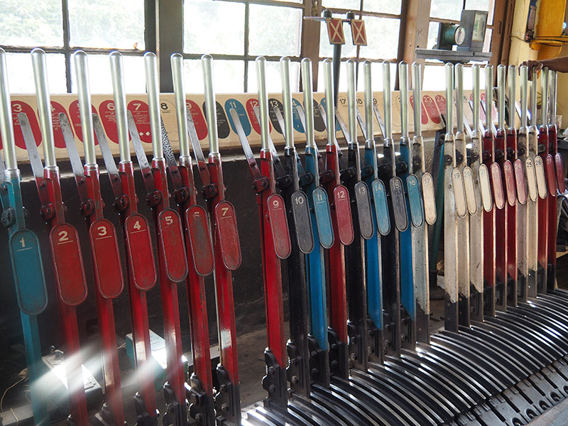 Voyage au Sri Lanka d'Eric K.