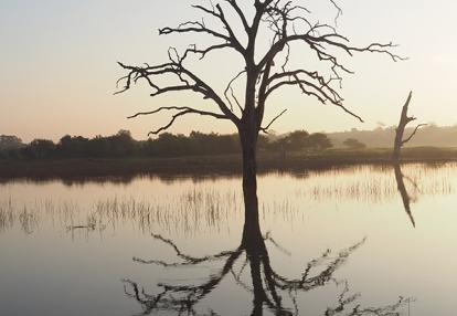 Udawalle Voyage au Sri Lanka d'Eric K.