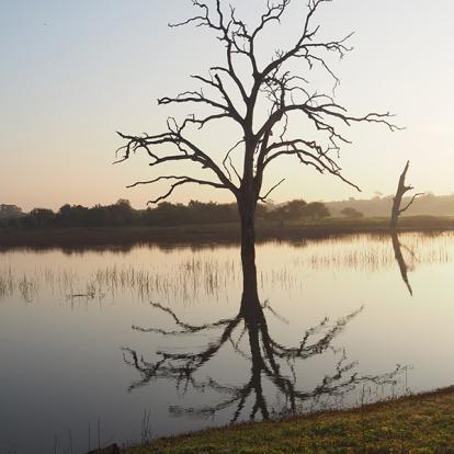 Voyage au Sri Lanka d'Eric K.