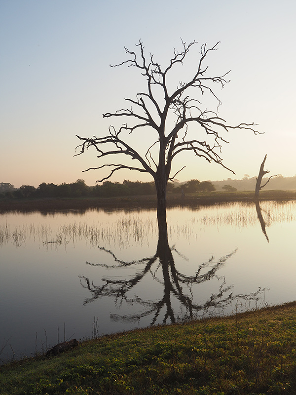 Voyage au Sri Lanka d'Eric K.