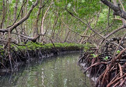 Voyage en Guadeloupe de Gilles B.