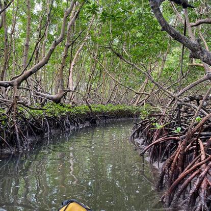 Voyage en Guadeloupe de Gilles B.