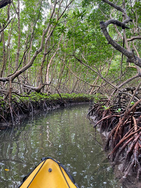 Voyage en Guadeloupe de Gilles B.