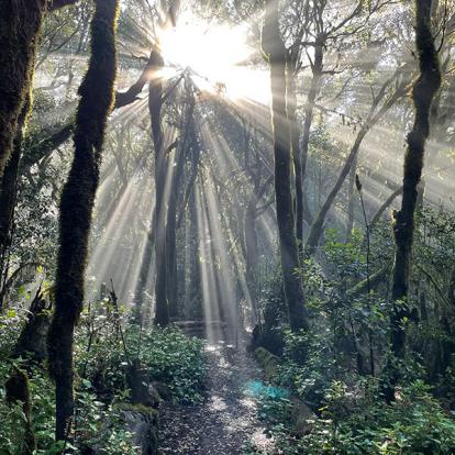 Voyage aux Canaries de Jean-Marc P.