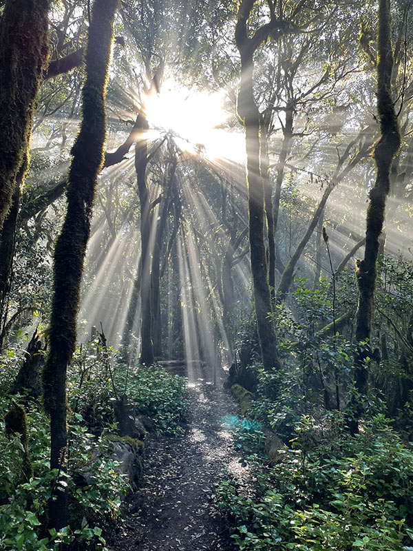 Voyage aux Canaries de Jean-Marc P.