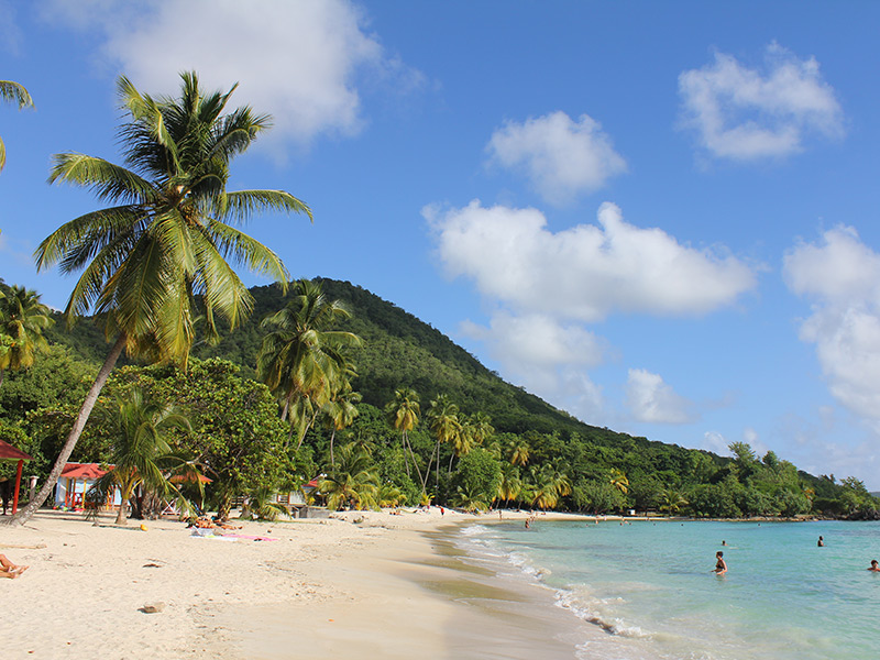 Voyage en Martinique de Francois André
