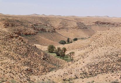 Voyage en Tunisie de Sophie M.