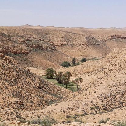 Voyage en Tunisie de Sophie M.