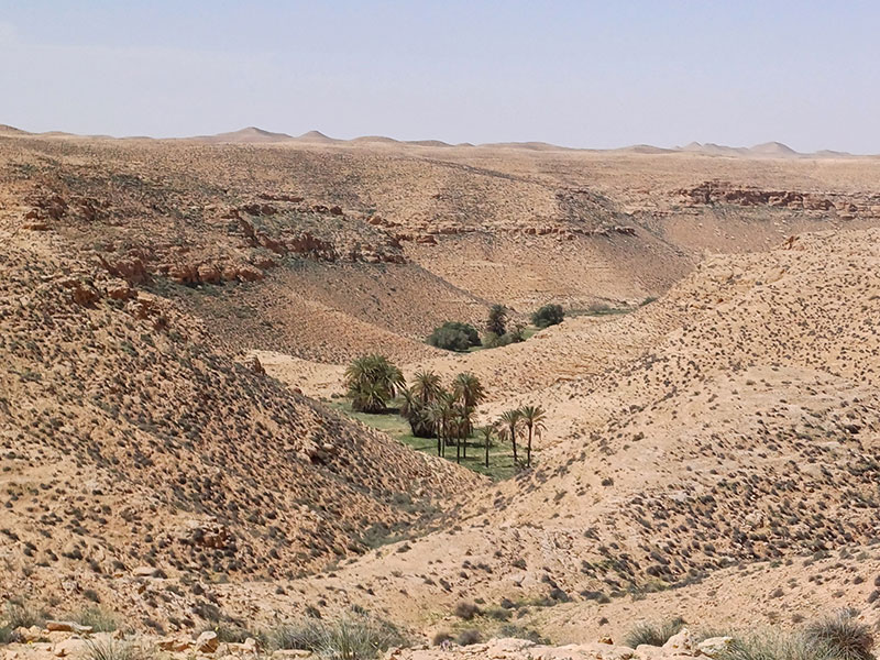 Voyage en Tunisie de Sophie M.