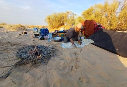 Voyage en Tunisie de Sophie M.