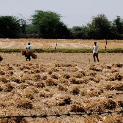Voyage en Inde de Danielle et Normand
