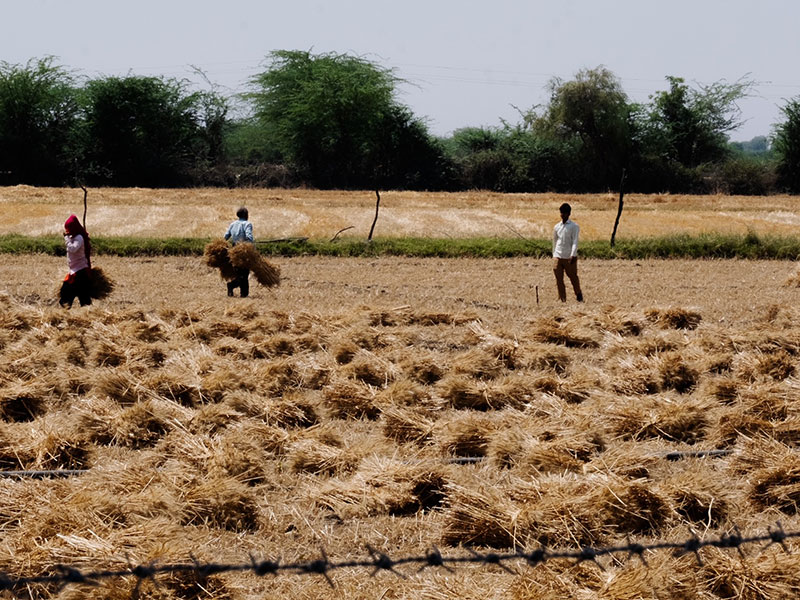 Voyage en Inde de Danielle et Normand