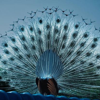 Voyage en Inde de Danielle et Normand