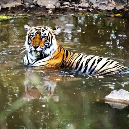 Voyage en Inde de Danielle et Normand