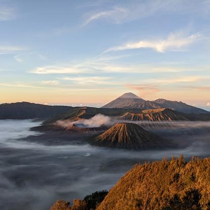 Voyage en Indonésie du Groupe de Nicole B.