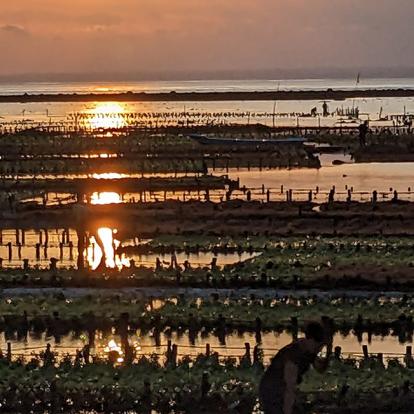 Voyage en Indonésie du Groupe de Nicole B.