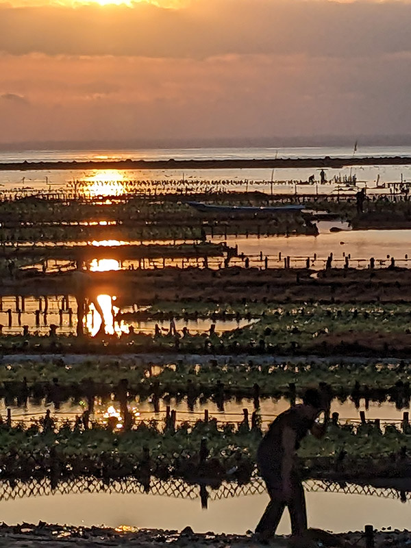 Voyage en Indonésie du Groupe de Nicole B.