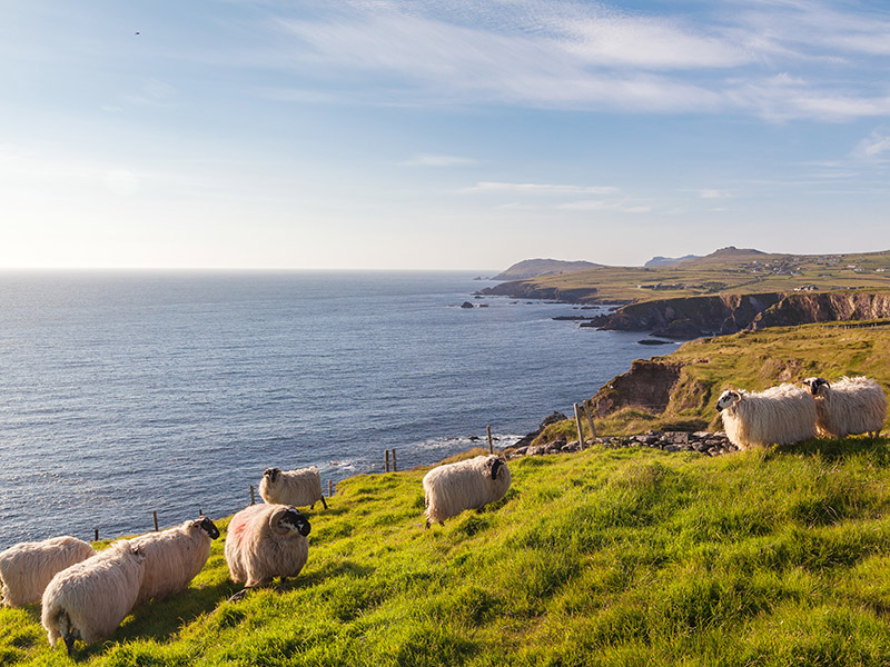 Voyage en Irlande de Pascal F.