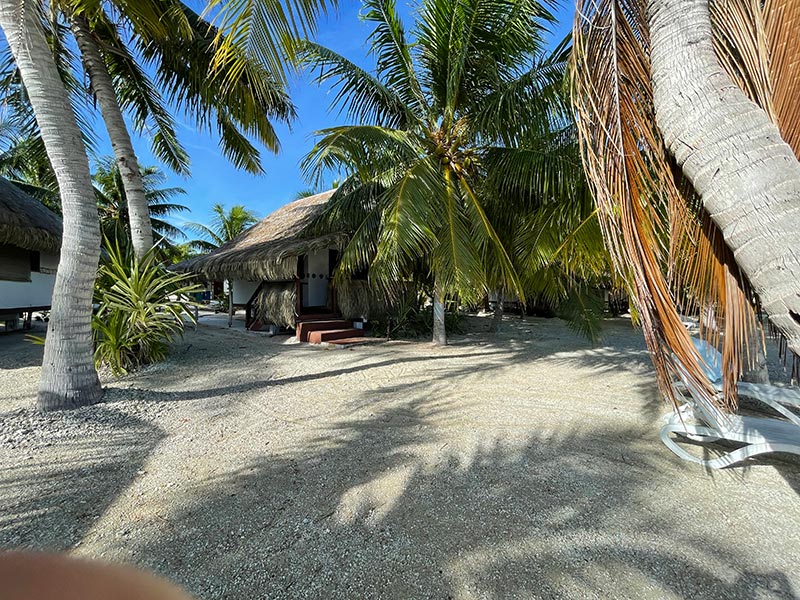 Relais Royal - Tikehau Voyage en Polynésie de Daniel Z.
