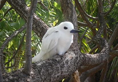 Voyage en Polynésie de Daniel Z.