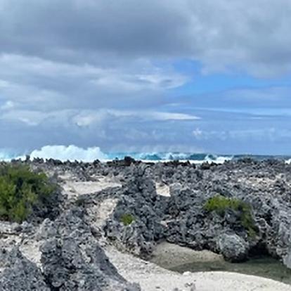Excursion Récifs Et Lagon Bleu à Rangiroa Voyage en Polynésie de Daniel Z.