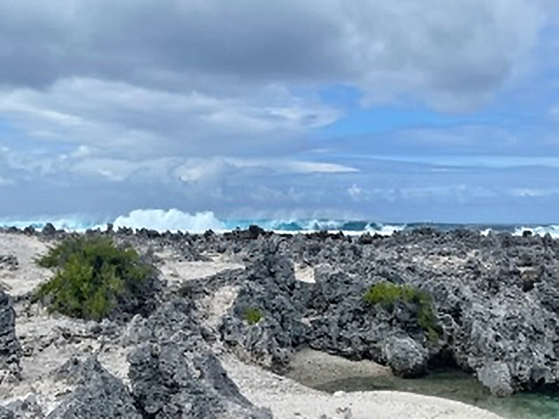 Excursion Récifs et lagon bleu à Rangiroa Voyage en Polynésie de Daniel Z.