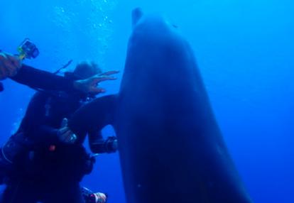 Voyage en Polynésie de Daniel Z.