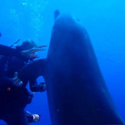 Tahiti Voyage en Polynésie de Daniel Z.
