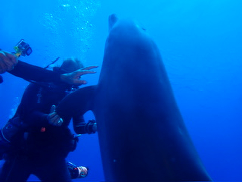 Tahiti Voyage en Polynésie de Daniel Z.