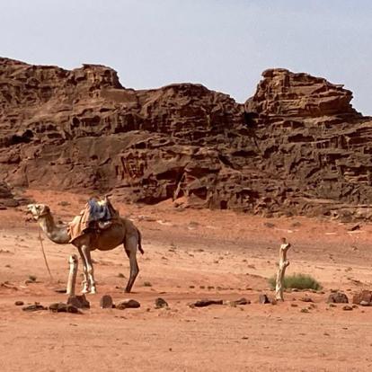 Wadi Rum Voyage en Jordanie de Sandrine et Nadim
