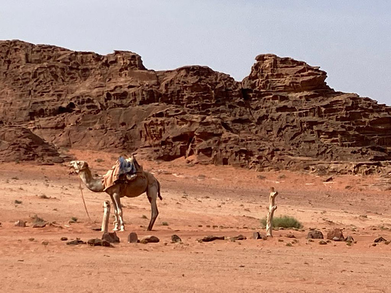 Wadi Rum Voyage en Jordanie de Sandrine et Nadim