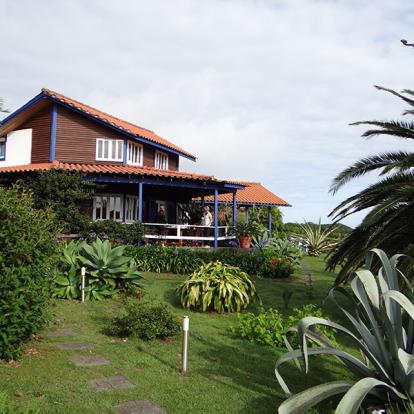 Voyage aux Açores de Dominique L.