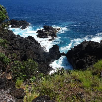 Voyage aux Açores de Dominique L.