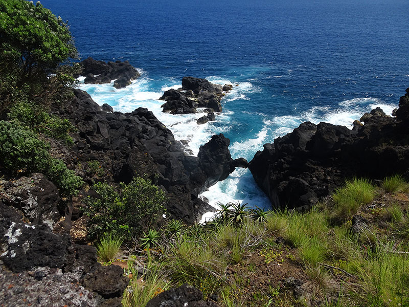 Voyage aux Açores de Dominique L.