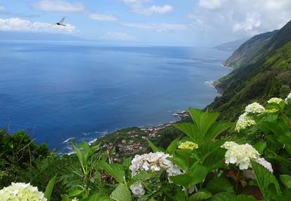 Voyage aux Açores de Dominique L.