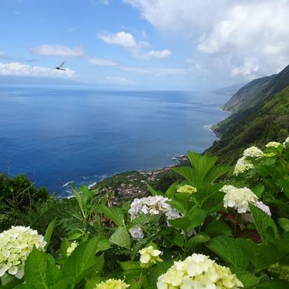Voyage aux Açores de Dominique L.