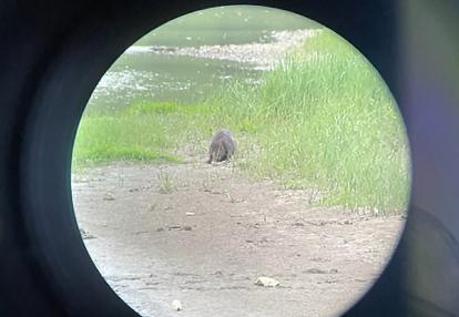 Voyage en Roumanie de Sophie A.