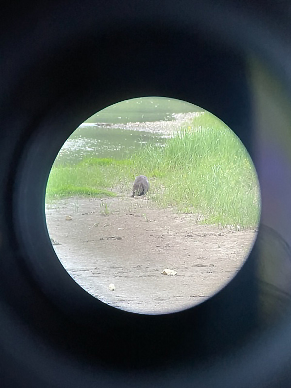 Voyage en Roumanie de Sophie A.
