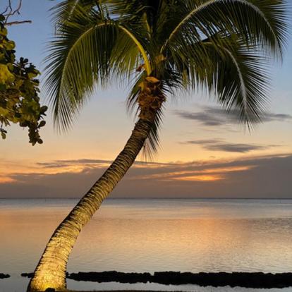 Voyage en Polynésie de Flo et Steph