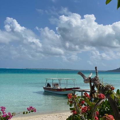 Voyage en Polynésie de Flo et Steph