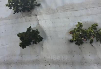 En route vers le Yosemite Voyage aux Etats-Unis de Jean-Robert M.