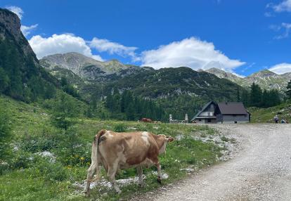 Slovénie - Alpes Juliennes Voyage en Slovénie de Nathalie G.