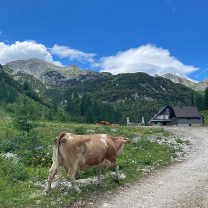 Slovénie - Alpes Juliennes Voyage en Slovénie de Nathalie G.