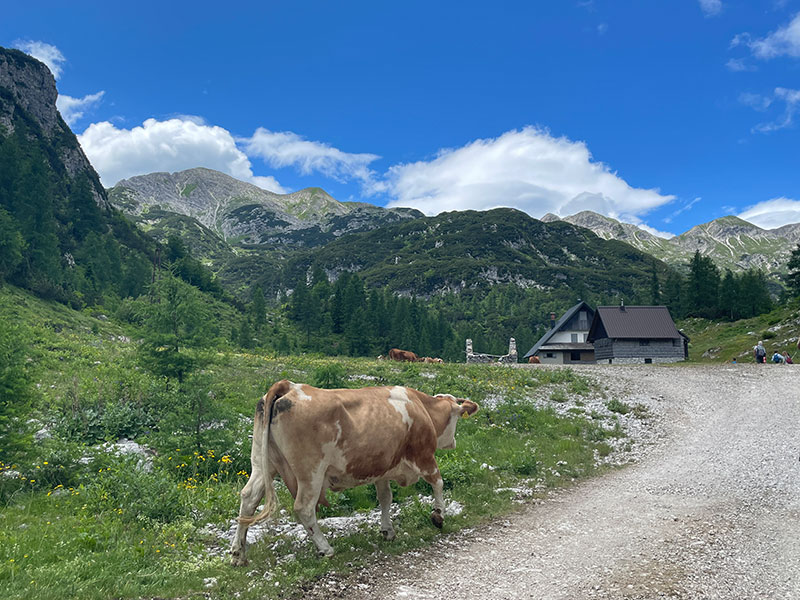 Slovénie - Alpes Juliennes Voyage en Slovénie de Nathalie G.